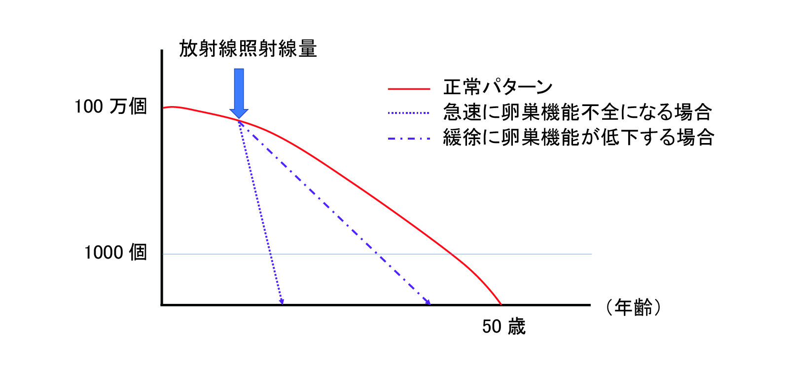 horie_figure01