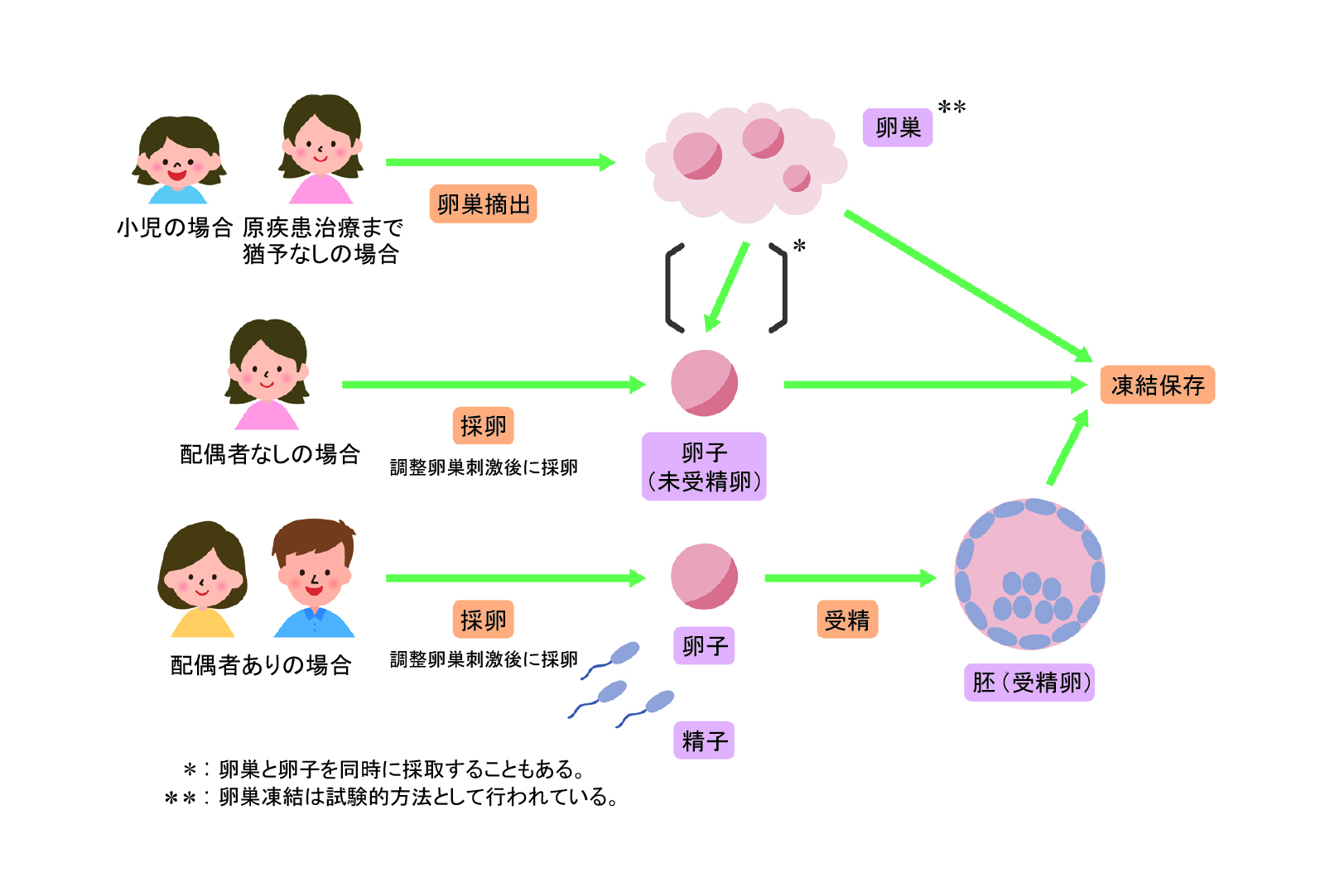 takae_figure01