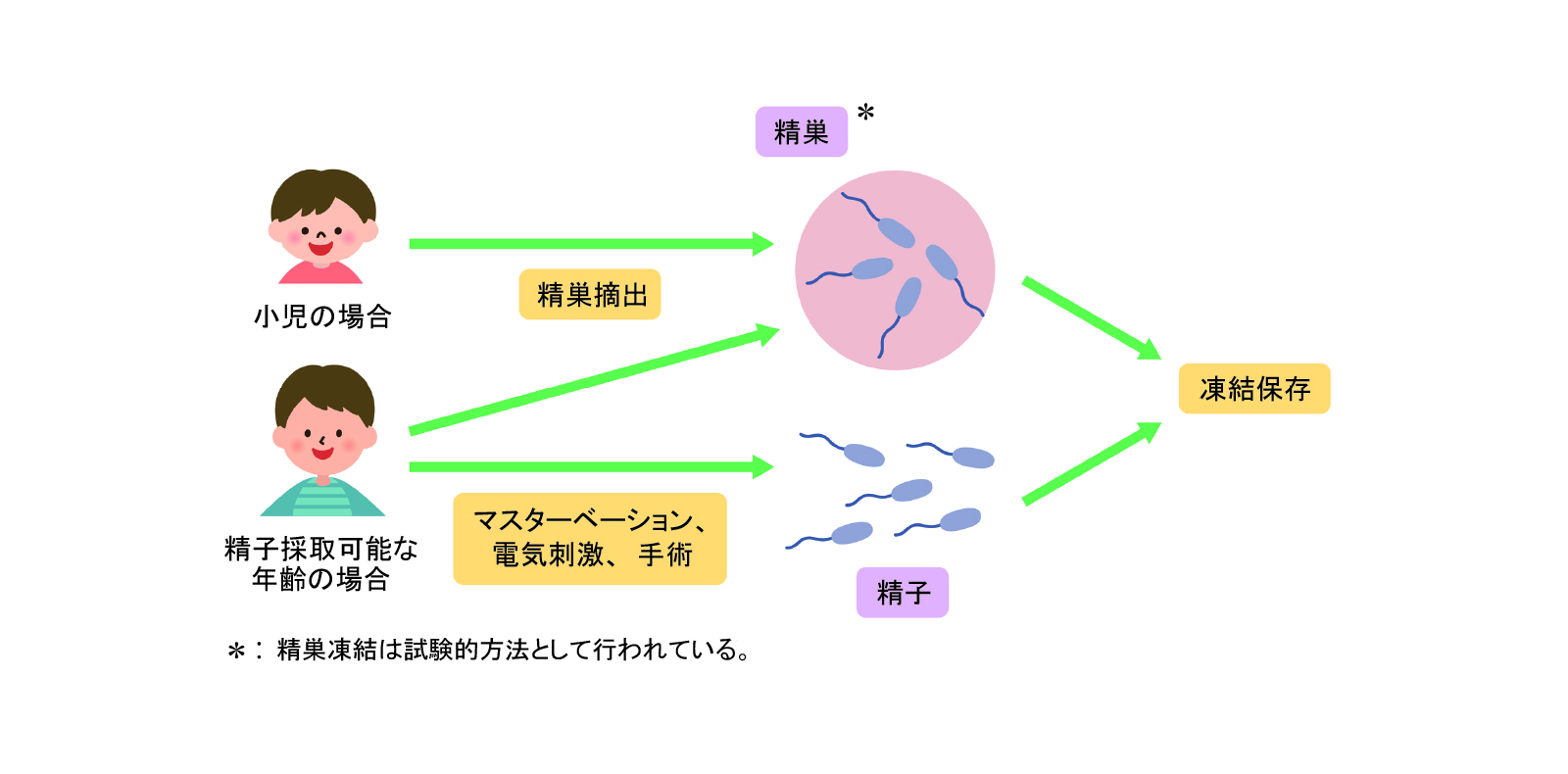 takae_figure02